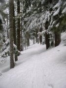 Ghost Ridge-Twin Lakes 059 